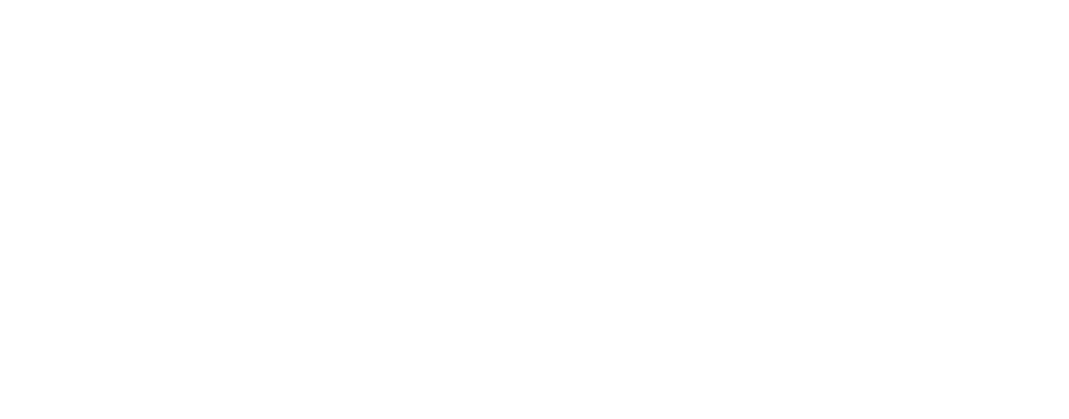 4 (4)